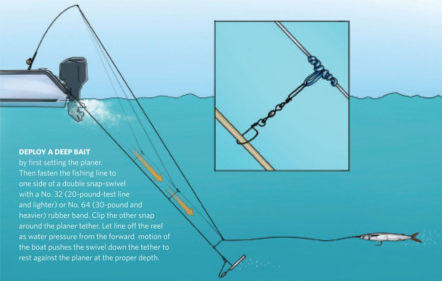 Advice Needed - Offshore fishing with downrigger - The Hull Truth - Boating  and Fishing Forum