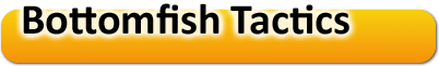 Bottomfish Tactics