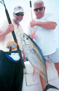 Yellowfin tuna often respond favorably to a bait trolled way, way back, especially when there's heavy fishing pressure.  The tactic consistently takes dolphin and blue marlin as well.