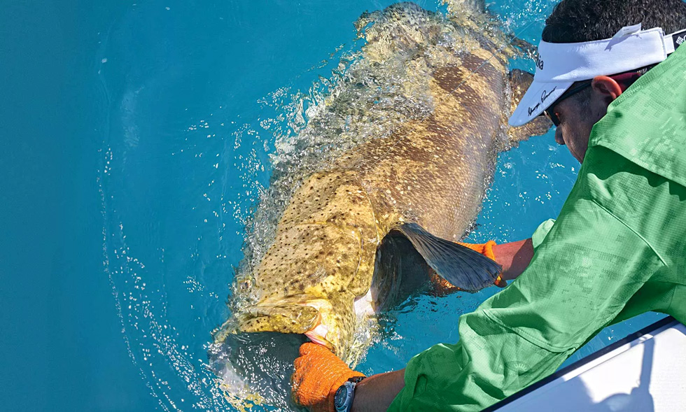 Bottom Fishing In The Florida Keys