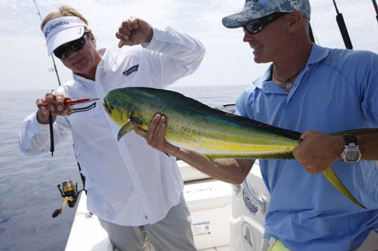 Dolphin Fishing In The Florida Key by George Poveromo