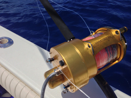 ELECTRIC ASSIST FOR SPORTFISHING