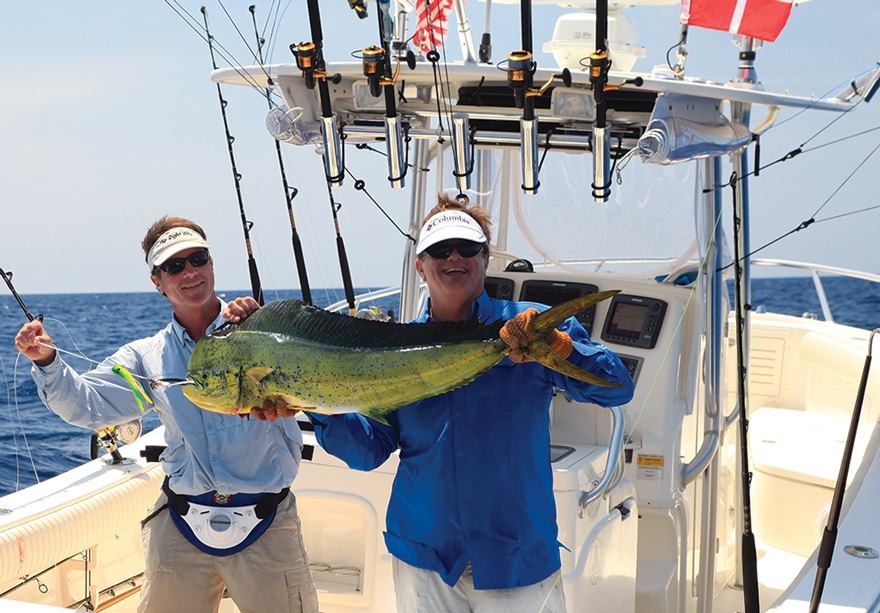  Green Turtle Abacos Dolphin run: Each spring and summer, hordes of dolphin invade Abaco’s offshore waters, providing outstanding light-tackle action.