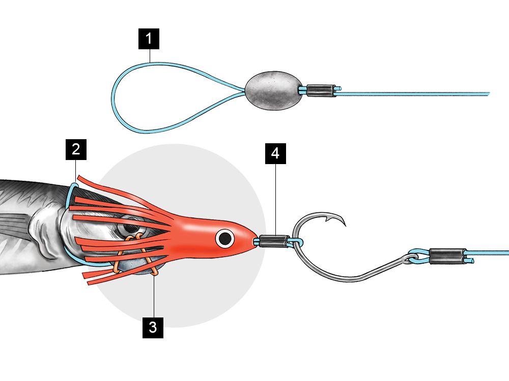 This ballyhoo rig is ideal for adding skirts or lure heads for marlin.