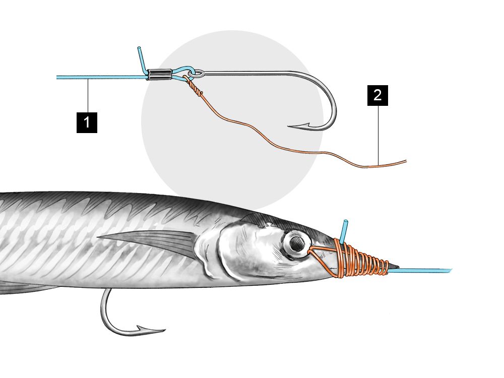 The standard rig for ballyhoo trolling. An all-around option for dolphin, tuna and billfish.