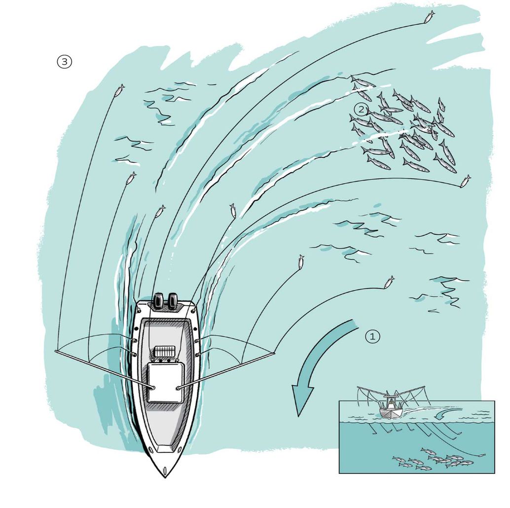 The fish finder has marked tuna holding deep off the port side