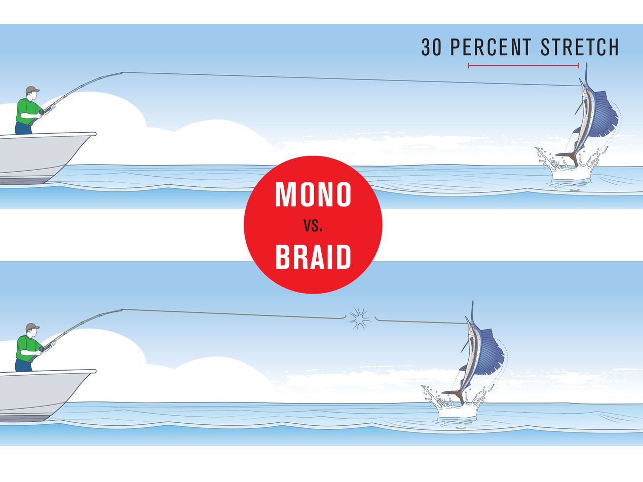 Braid vs. Mono for Catfish - In-Fisherman