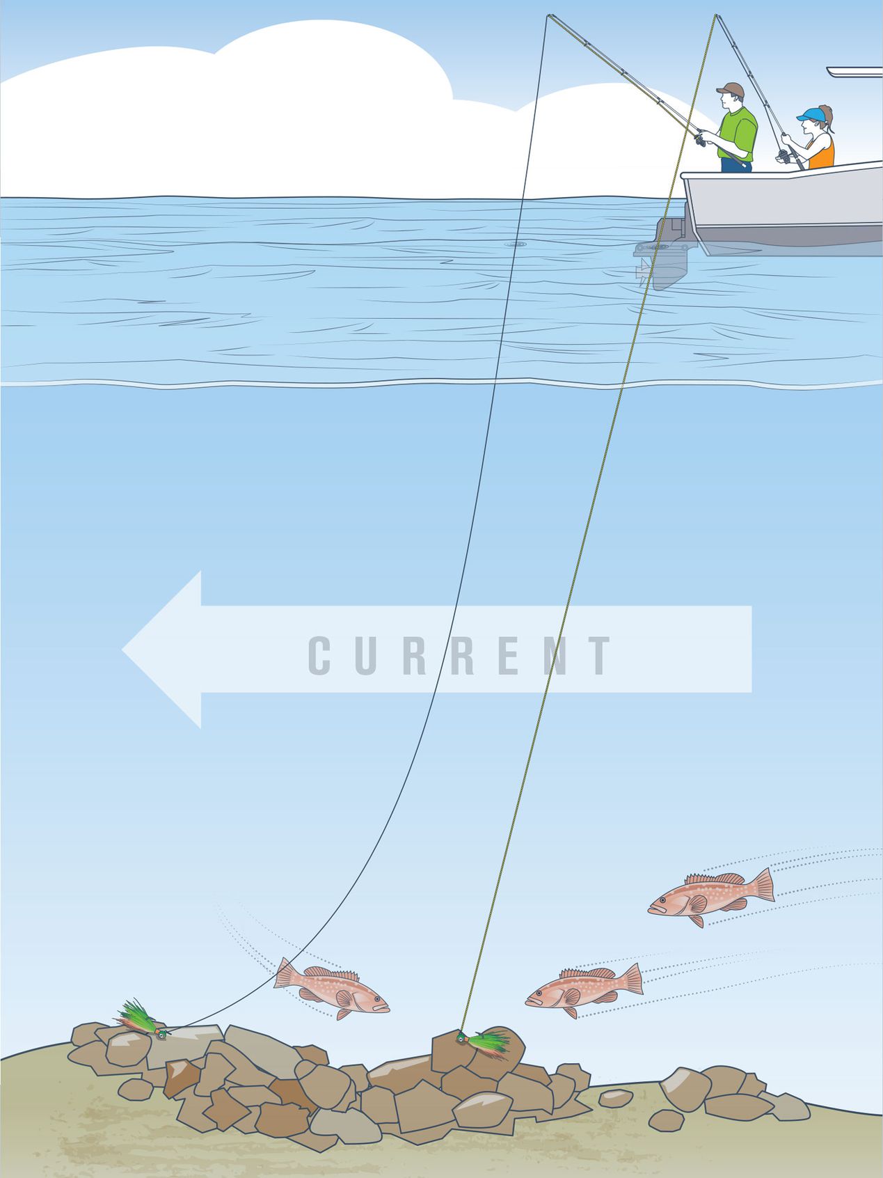 Monofilament - Fishing Line - Fishing