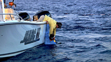 Poveromo overboard, harnessed to 80-lb. class stand-up gear and a swordfish.