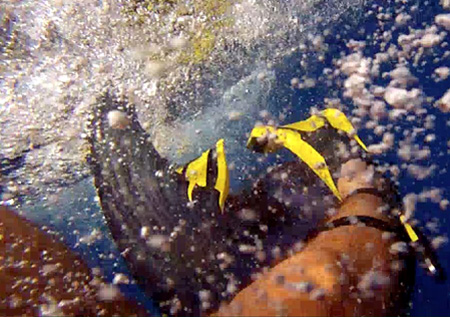 That's a 175-lb swordfish charging between Kevin Tierney's legs!