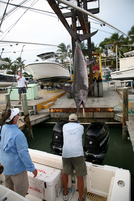 Offloading a 380-lb. swordfish.