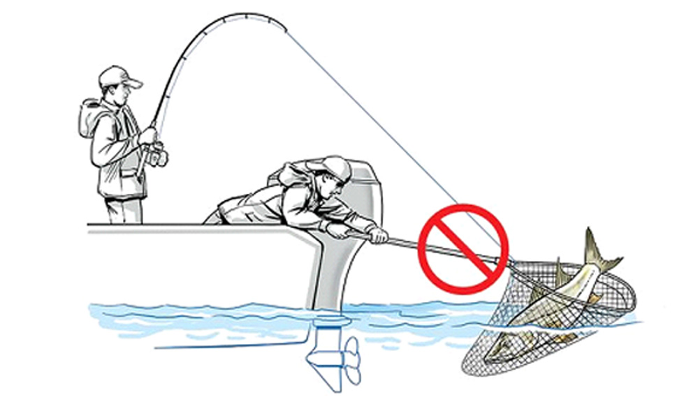 Landing Net Pole, Landing Net Handle Wear Resistant Easy For Landing Big  Fish For Fishing 