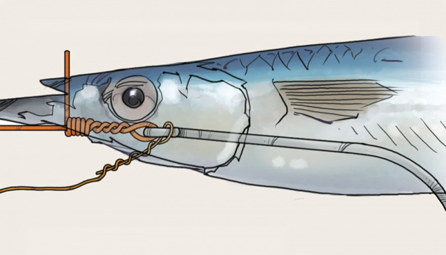 WireTrace Trolling Rig