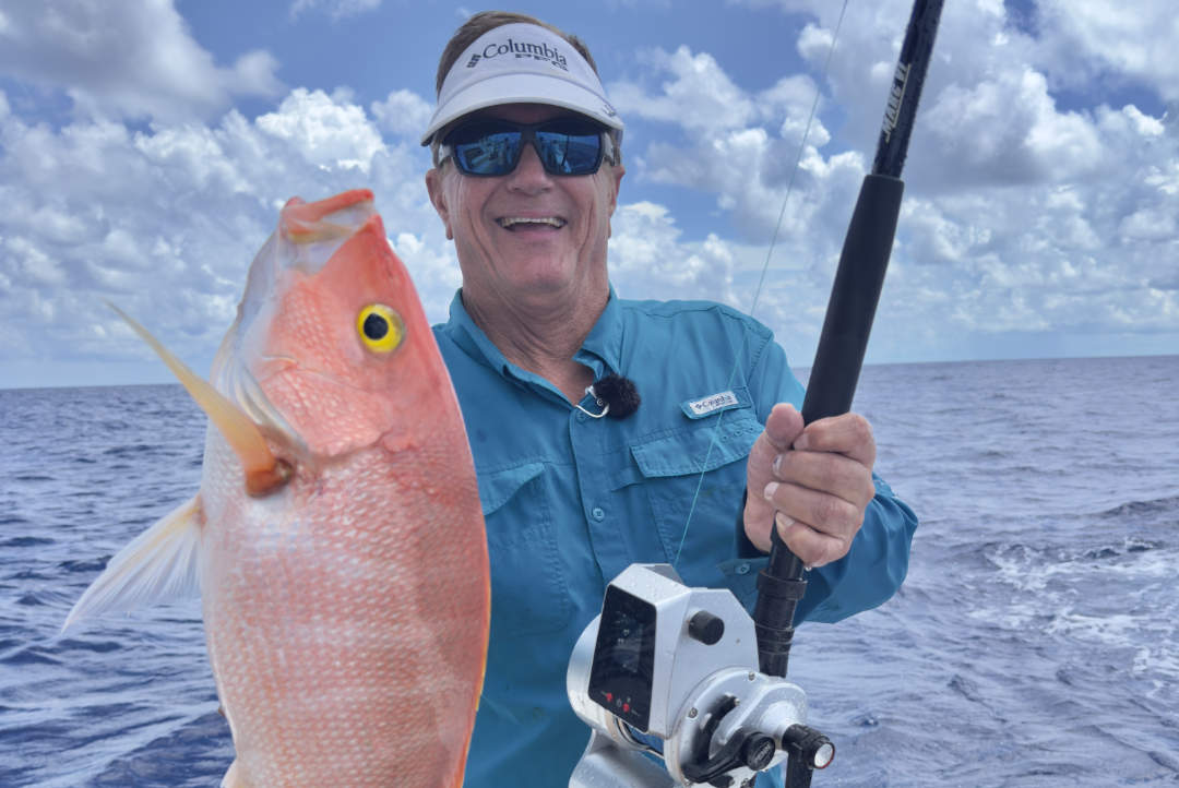 THE BUSMAN&rsquo;S HOLIDAY, Bimini, Bahamas