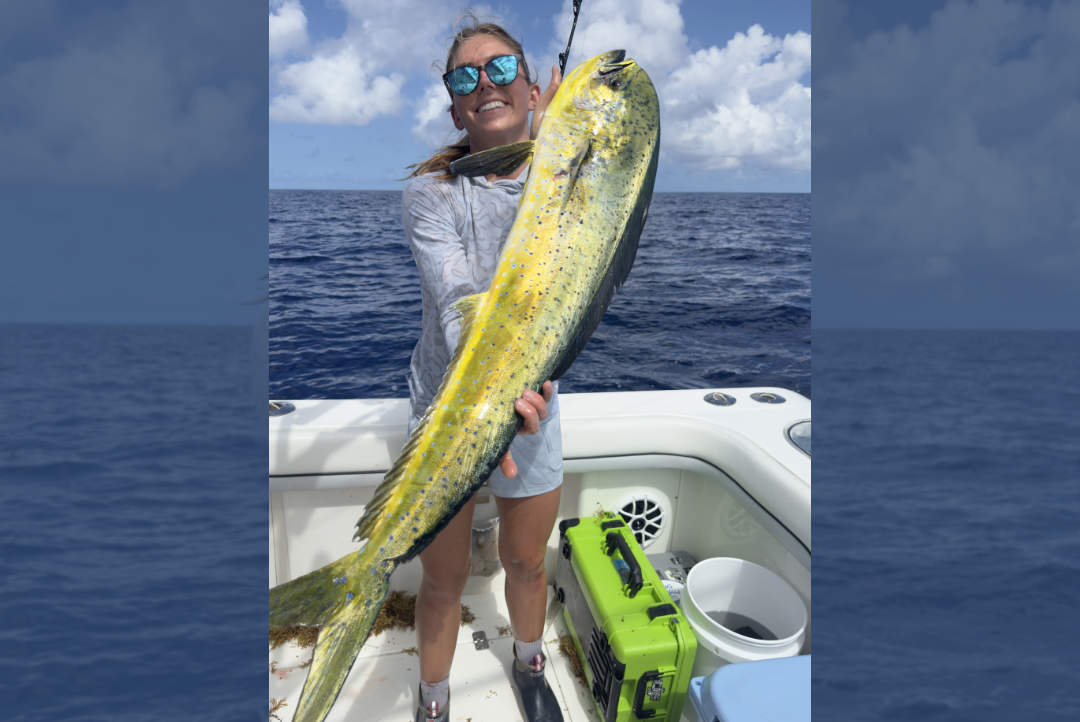 THE MAHI ONSLAUGHT!