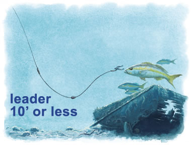 Top tips for rigging leaders - The Fishing Website