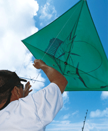 Go fly a kite -- for kingfish