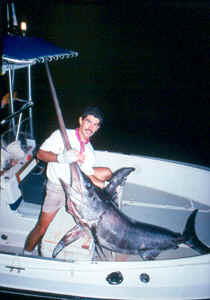 This large swordfish was caught on 40-pound test line. One key to successfully hooking a trophy fish is to file the backside of a hook's point to a razor finish.