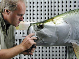 Modern marine taxidermists rely on their painting skills and fine details captured by quality fiberglass molds to create lifelike fish replicas.