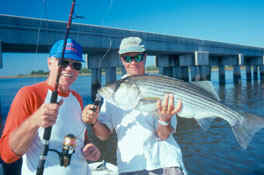 Stripers are one of many game fish that often go out of their way to eat a frisky live bait. When warm summer water temps make baits lethargic, an oxygen-injection system can charge them up to eye-catching energy levels.